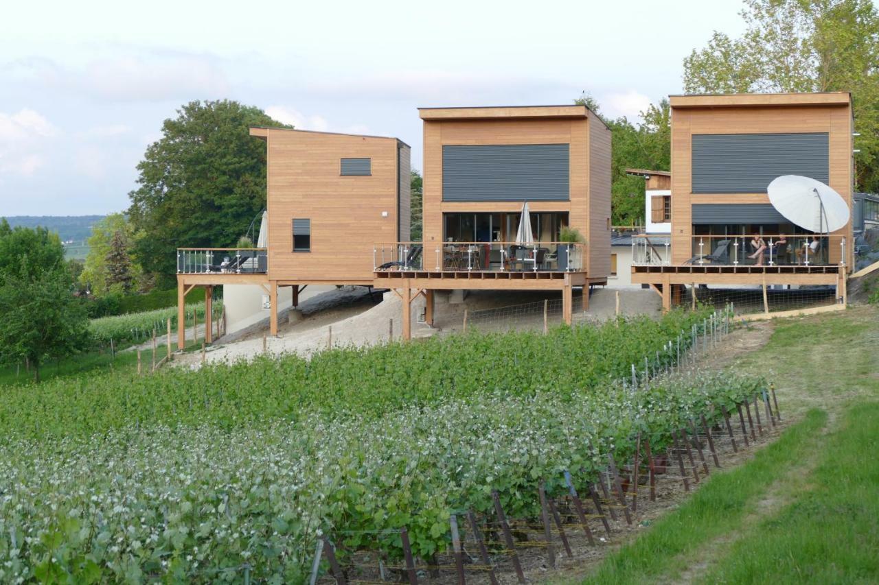 Antoinette 4* Chigny-les-Roses